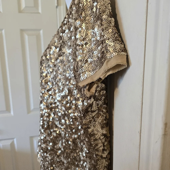 Talbots Woman's NWT GOLD  SS Sequin Silk Lined  Blouse Sz 10P - Picture 10 of 12